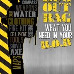 Bug Out Bag: What You Need In Your BOB book cover, by Casey Watkins