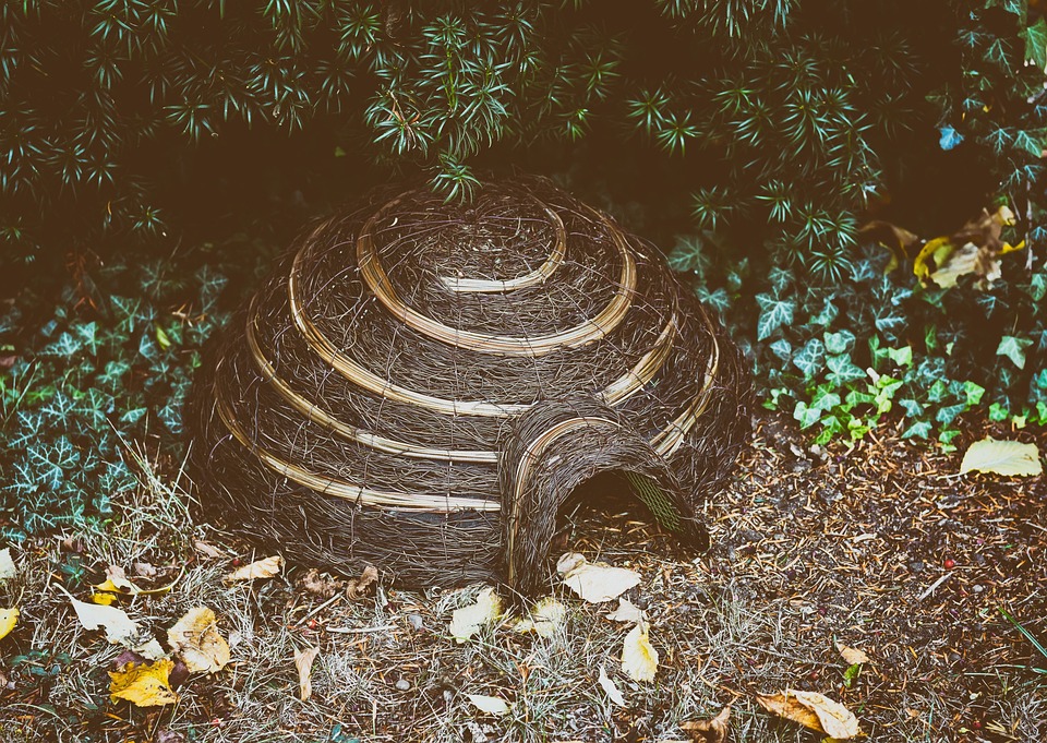 A survival shelter made from natural materials